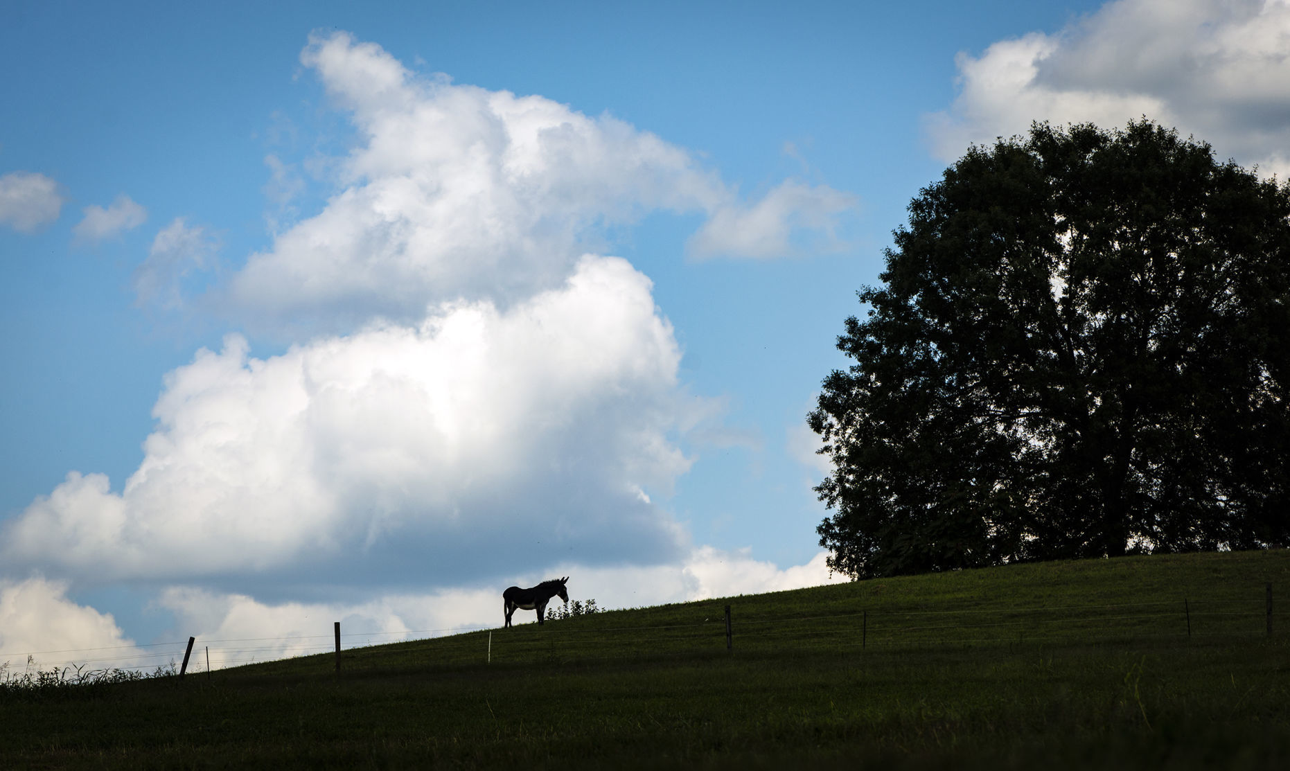 childrensfarm